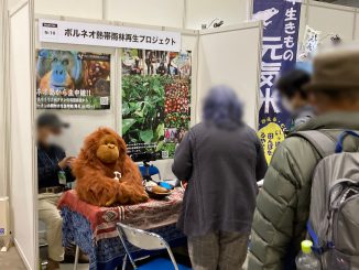 特定非営利活動法人ボルネオ熱帯雨林再生プロジェクト N-10